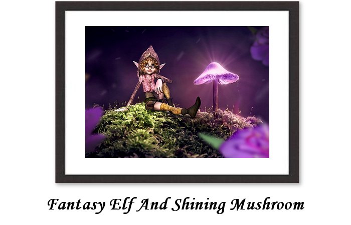 Fantasy Mushroom Elf Flowers Moss Shining Light 
